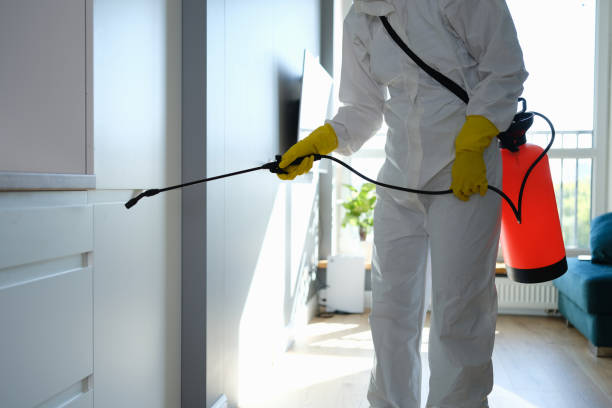 Best Mold Removal Company Near Me  in Folsom, NJ