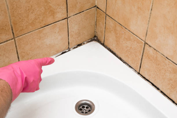 Best Residential Mold Removal  in Folsom, NJ